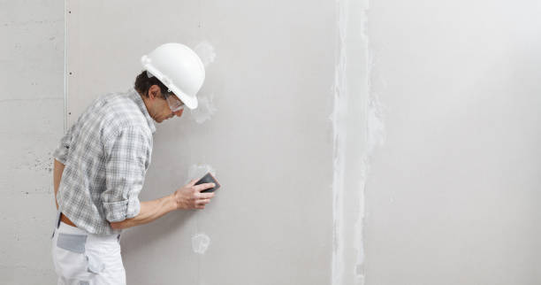 Best Drywall Removal and Disposal  in North Mankato, MN